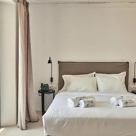 Hotel Collini Mykonos Fanari (Mykonos)